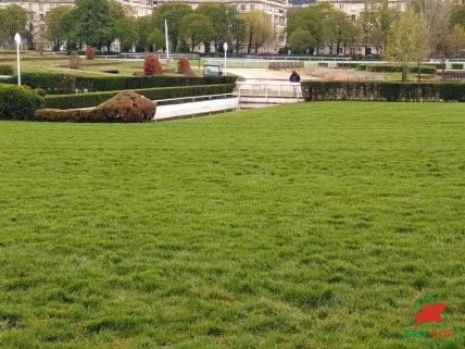 Auteuil