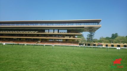 des bénéfices à Longchamp