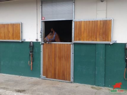 Cheval de course au galop