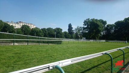 Le quinté , auteuil