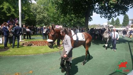 Quinté à Auteuil