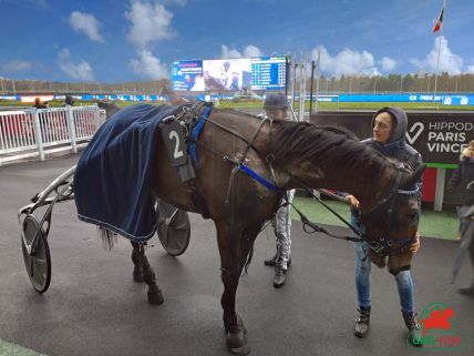 Vincennes