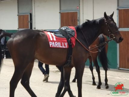 Hippodrome de Lyon-Parilly