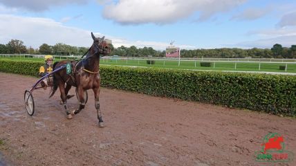 Quinté de trot