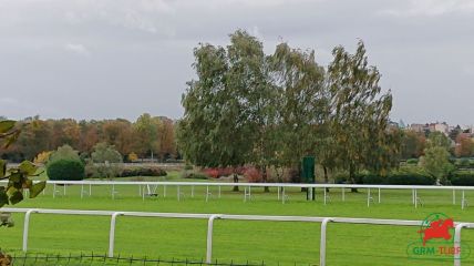 Quinté à Saint-Cloud