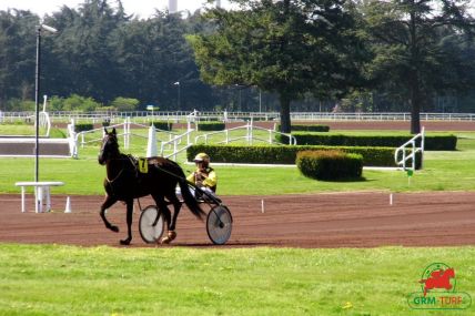 Le trotteur Akayama