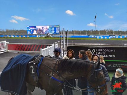 Arrivées et rapports quintés