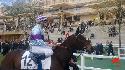 Quinté à ParisLongchamp