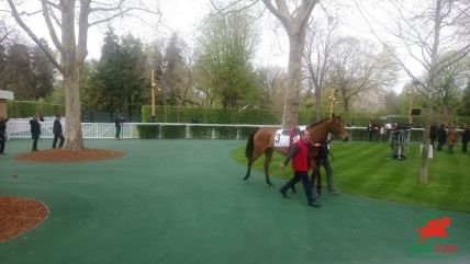 Bénéfices avec le cheval du jour