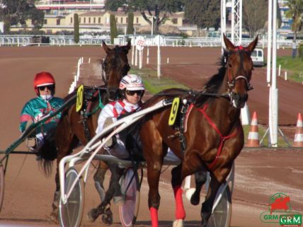 Trotteurs hippodrome de Cagnes