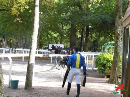 Courses à Cagnes-sur-Mer