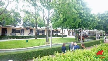 Auteuil