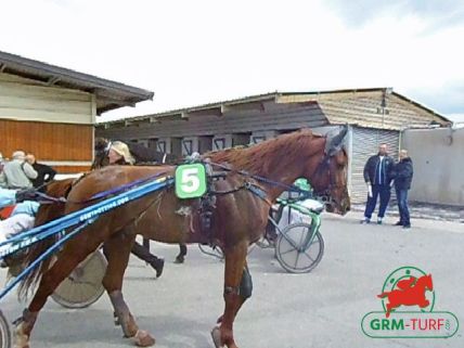 Trot à Laval