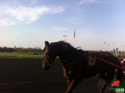 le trotteur Sparkler