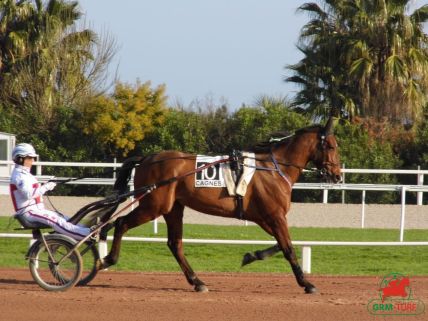 Courses à Cagnes-sur-Mer