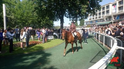 Le quinté , auteuil