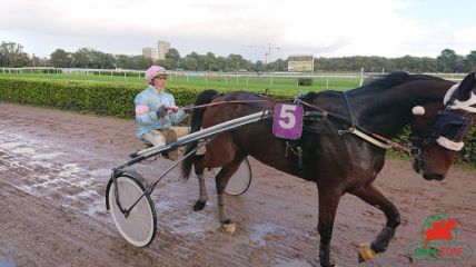 Cheval du jour gagnant