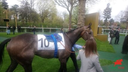 Le quinté à Deauville