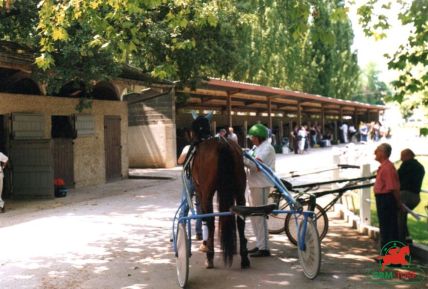 Quinté à Beaumont-de-Lomagne