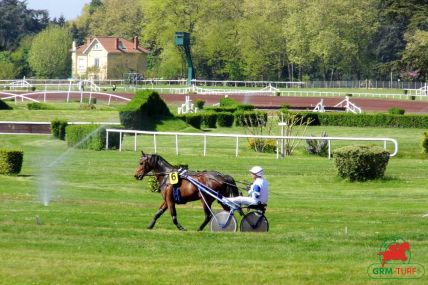 Le quinté , Hippodrome de Feurs