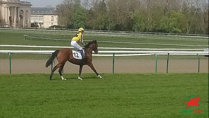 Quinté à Deauville