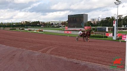 Tiercé, quarté+ et quinté+