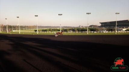 Le quinté sur l'hippodrome de Vincennes