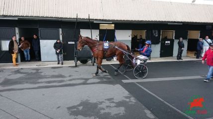 Le quinté de Vincennes