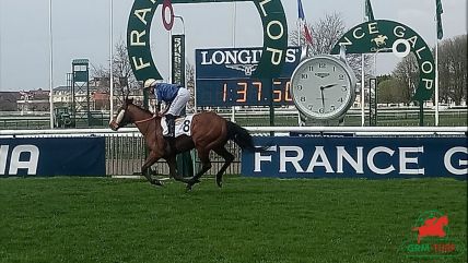 Courses et quinté à Chantilly