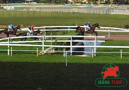 Steeple-chase