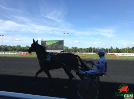 Un canter à Vincennes