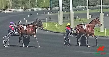 Le quinté à Vincennes