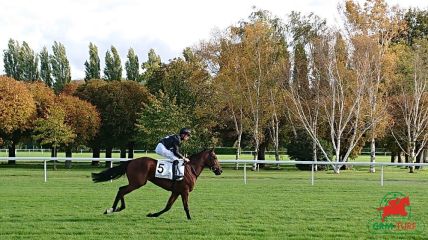 Quinté à Clairefontaine