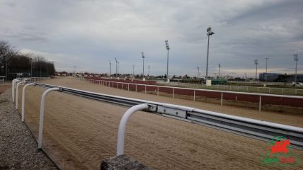 Cheval du jour GRM