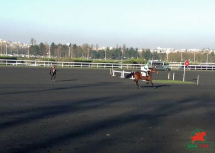 Quinté à Vincennes