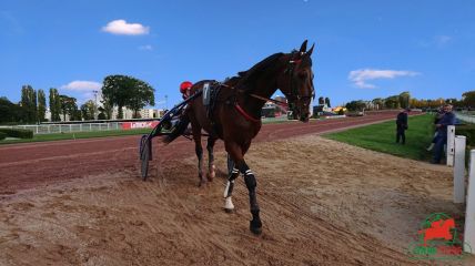 Hippodrome d'Enghien