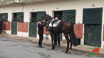 Courses à Saint-Cloud