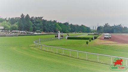 Le quinté à Lyon-Parilly