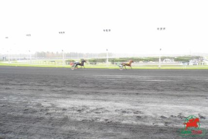 hippodrome de Vincennes