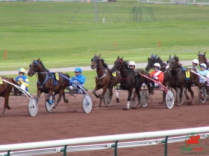 Le quinté , Hippodrome de La Capelle