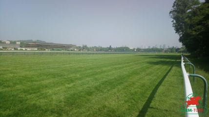 Hippodrome de Clairefontaine