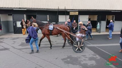 Quinté à Vincennes