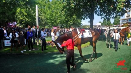 Quinté à Auteuil