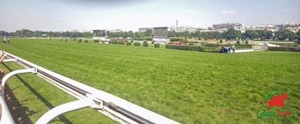 hippodrome d'Auteuil