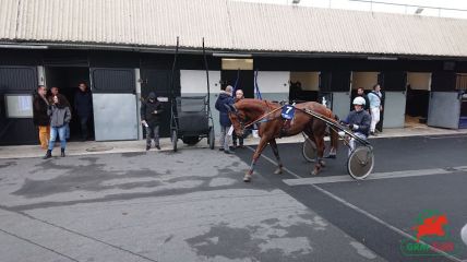 Quinté à Vincennes