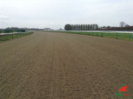 Courses et quinté à Deauville