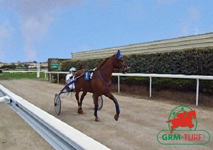 Hippodrome de trot