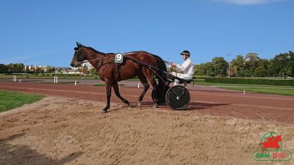 Hippodrome d'Enghien