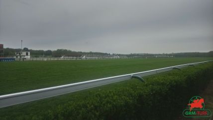 Courses à Longchamp