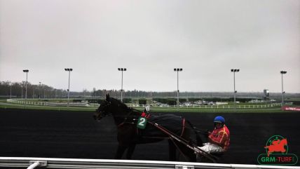 hippodrome de Vincennes courses